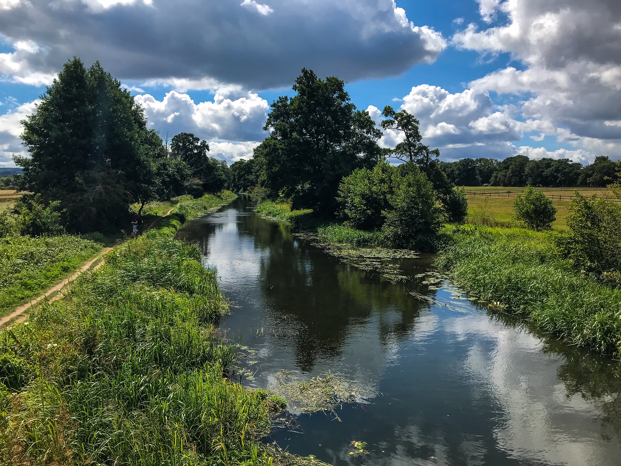 how-to-walk-the-river-wey-in-surrey-uk-walk-wild