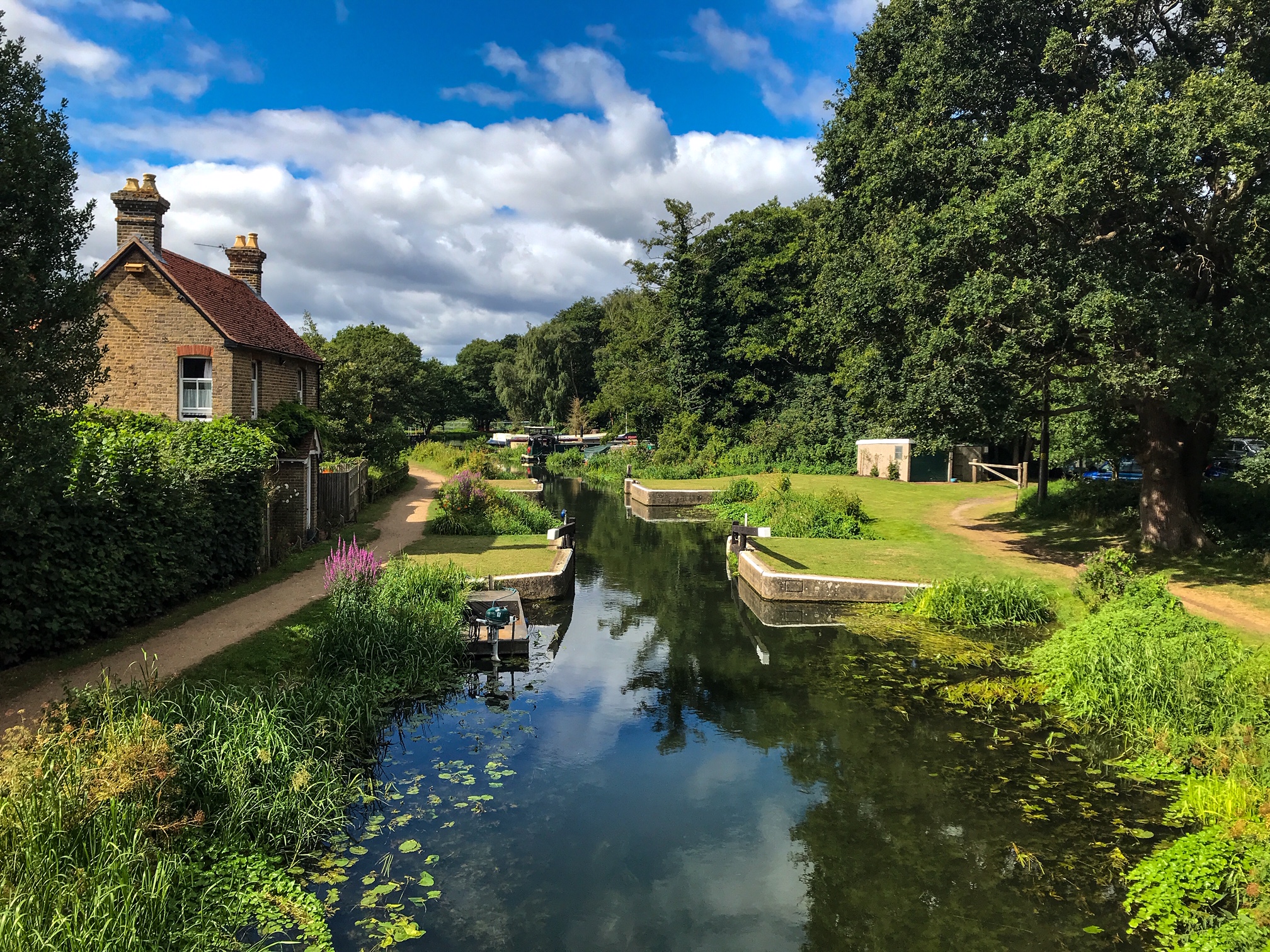 how-to-walk-the-river-wey-in-surrey-uk-walk-wild