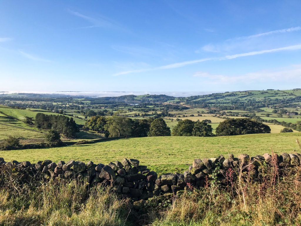 The Roaches and Lud's Church