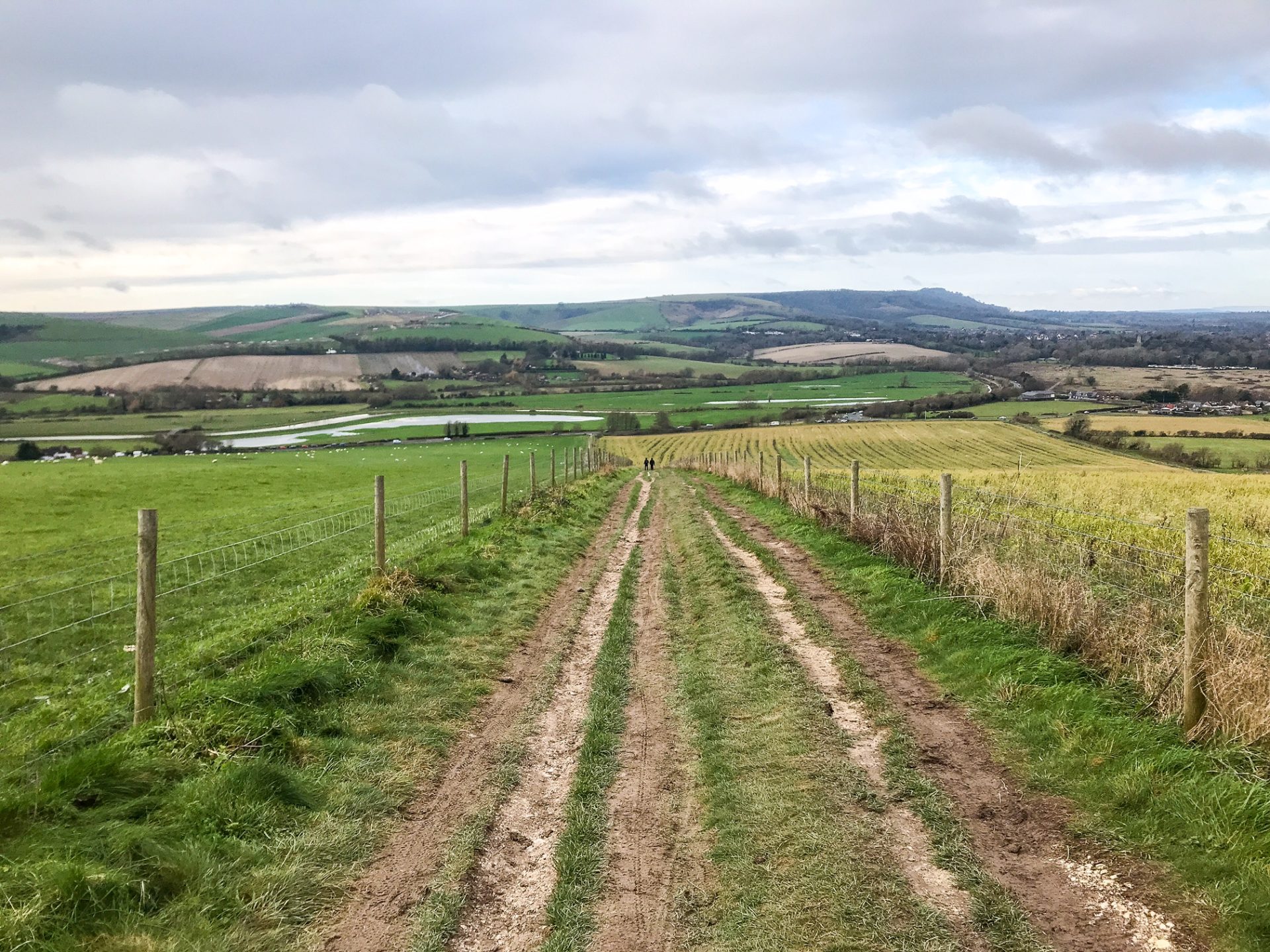 How to Walk the South Downs Way: In-Depth Travel Guide