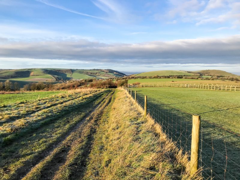 How to Walk the South Downs Way: In-Depth Travel Guide