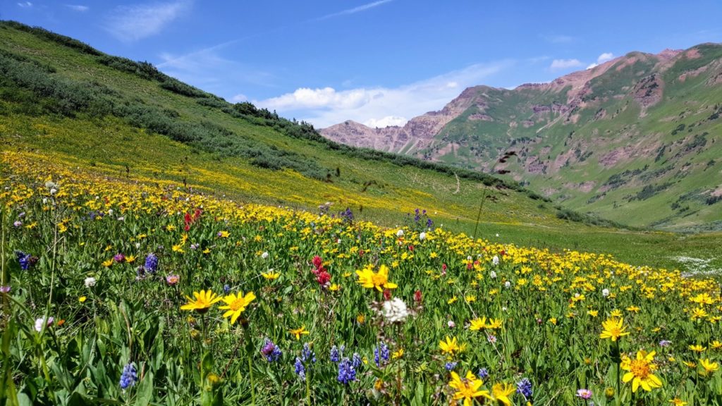 Hiking in Colorado