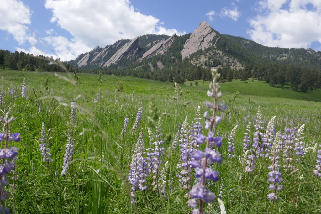 Hiking in Colorado