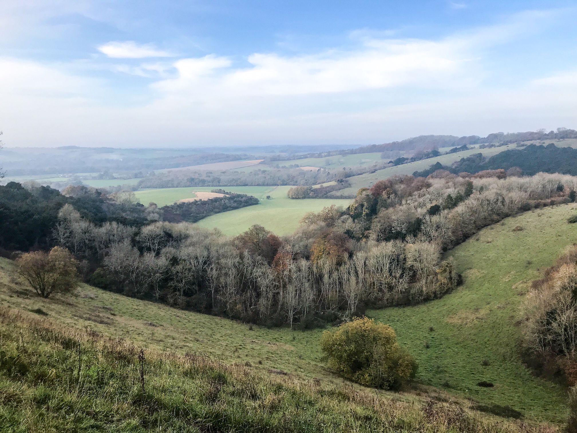 Top 5 South Downs National Park Walks - Walk Wild