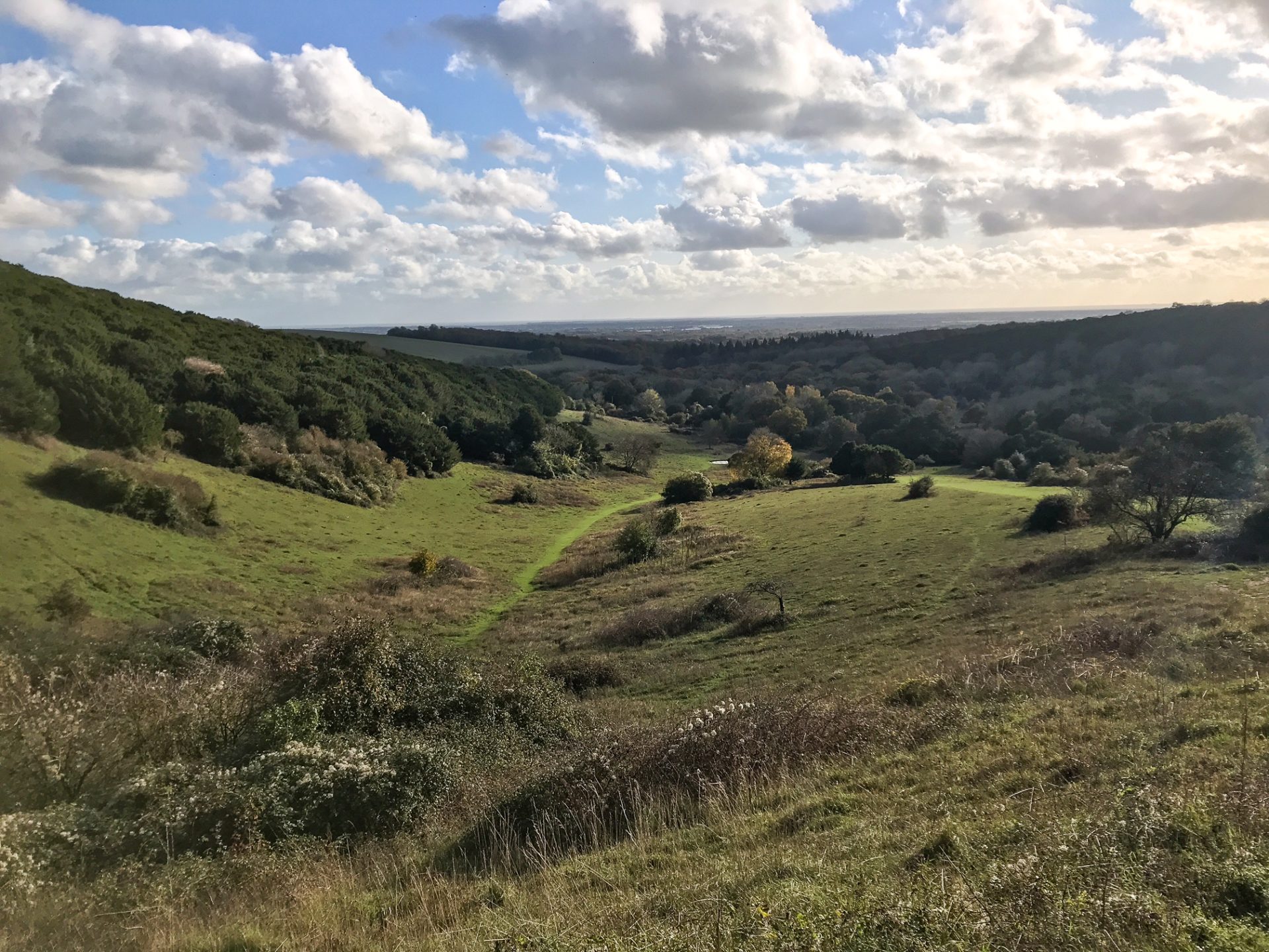 Top 5 South Downs National Park Walks - Walk Wild