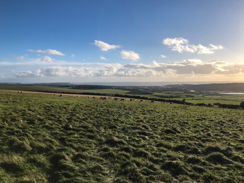 Top 5 South Downs National Park Walks - Walk Wild